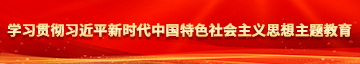 几把插逼av学习贯彻习近平新时代中国特色社会主义思想主题教育
