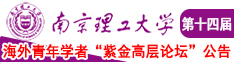 操逼插逼视频南京理工大学第十四届海外青年学者紫金论坛诚邀海内外英才！